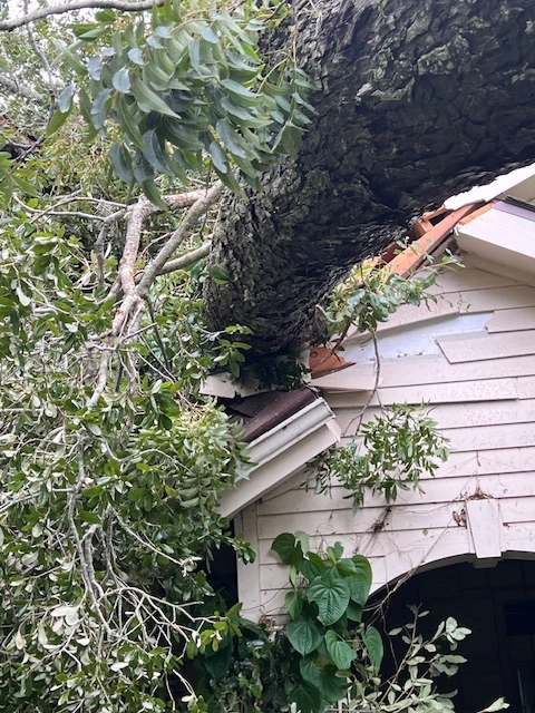 Bottom right image of roof damage
